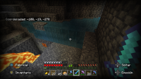 Minecraft (9).png