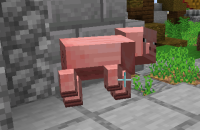 Screenshot (11)-1.png