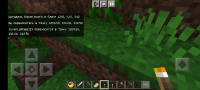 Screenshot_2022-07-03-23-37-13-386_com.mojang.minecraftpe.jpg