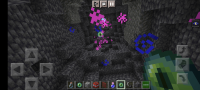 Screenshot_2022-07-03-23-49-58-385_com.mojang.minecraftpe.jpg