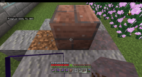 Minecraft 11.07.2022 14_51_31.png
