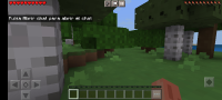 Screenshot_2022-07-19-11-52-48-041_com.mojang.minecraftpe.jpg