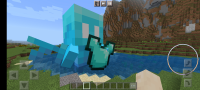 Screenshot_20220729-115113_Minecraft.jpg
