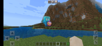Screenshot_20220729-115813_Minecraft.jpg