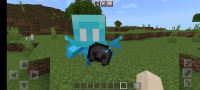Screenshot_20220609-152929_Minecraft.jpg