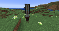 JE Pillager Captain Back(example).png