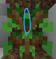 Screenshot_20220809_184559.jpg