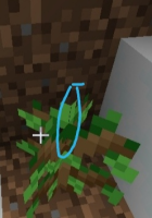 Screenshot_20220809_184441.jpg