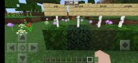 Screenshot_20220810-111543_Minecraft.jpg