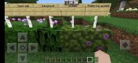 Screenshot_20220810-111602_Minecraft.jpg
