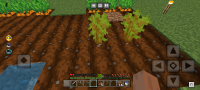 Screenshot_20220817-032454.png