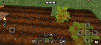 Screenshot_20220817-032448.png