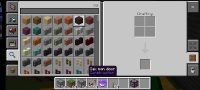 Screenshot_20220823-211557_Minecraft[1]-1.jpg
