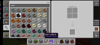 Screenshot_20220823-211423_Minecraft[1]-1.jpg