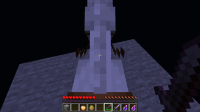 Invisible Horse Health.png