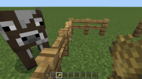fencebug3-1.png