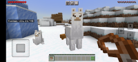 llama leash hit (2).jpg