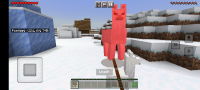 llama leash hit (1).jpg
