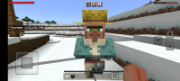 villager trade hit (2).jpg