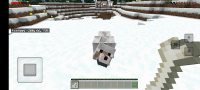 wolf tame hit (2).jpg