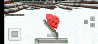 wolf tame hit (1).jpg