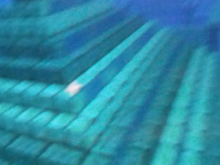 IMG_20221008_081515.jpg