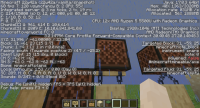 1.19.3 bug.png