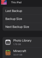 Backup Sizes.jpeg