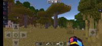 Screenshot_20221103-214720_Minecraft.jpg