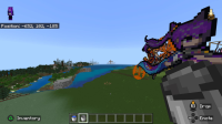 bug 2.jpg