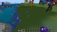 bug 1.jpg