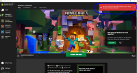 minecraft error.PNG