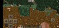 Screenshot_20221117-165940_Minecraft.jpg