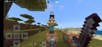 Screenshot_20221203_021256_com.mojang.minecraftpe.jpg