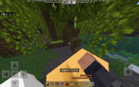 Screenshot_20221128_195622_com.mojang.minecraftpe.jpg