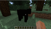 img1.png