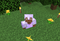 in a hole.png