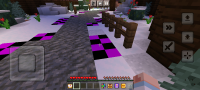 Screenshot_20221229_171814_Minecraft.jpg