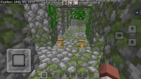 MCPE-165820 Android.png