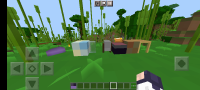 Screenshot_2022-10-08-20-16-19-125_com.mojang.minecraftpe.jpg