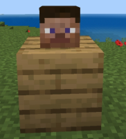 Player head in game.jpg