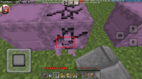 MCPE-166314 Screenshot.png