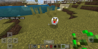 Screenshot_20230130_174416_com.mojang.minecraftpe.jpg