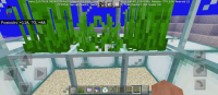 Screenshot_2023-01-31-01-54-16-212_com.mojang.minecraftpe.jpg