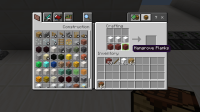 Minecraft 2_1_2023 8_47_50 PM.png