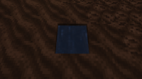 WaterInTheNether.png