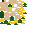 floweryellow.png