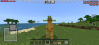 Screenshot_20230215-084801_Minecraft.jpg