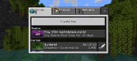 Screenshot_2023-02-15-19-08-33-082_com.mojang.minecraftpe.jpg