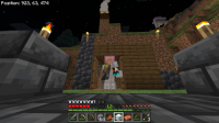 Minecraft 2_25_2023 11_42_37 PM.png